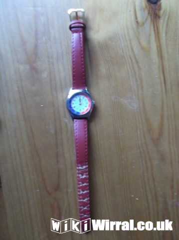 Attached picture brown watch.jpg